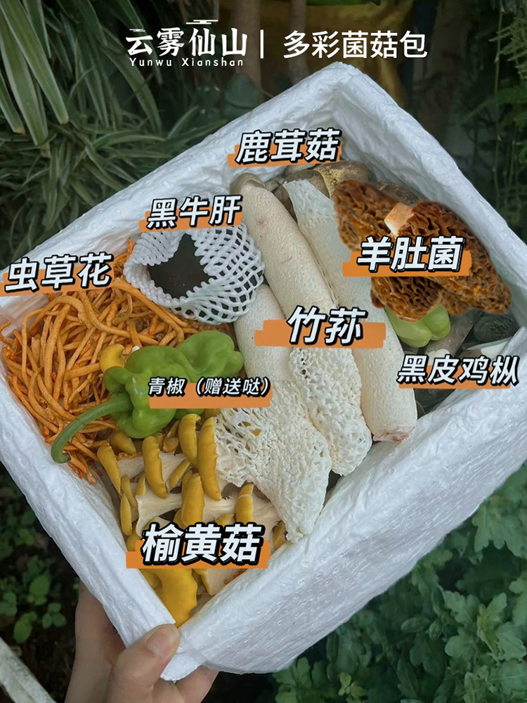 [Image of 七彩菌菇]